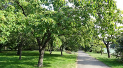 park-szczubelka (1).JPG